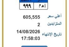 لوحة سيارة مميزة بمصر