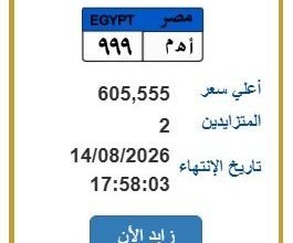 لوحة سيارة مميزة بمصر