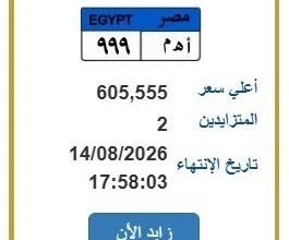بأكثر من نصف مليون جنيه.. صراع ثنائي على لوحة السيارة "أ ه م 999" في مصر 27 لوحة سيارة مميزة بمصر