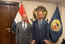 تغييرات تنظيمية بحزب حماة الوطن في الجيزة