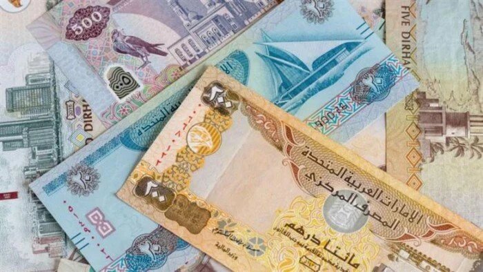 لماذا يقترب الدرهم الإماراتي من 14 جنيهاً في البنوك المصرية؟ 1 سعر الدرهم الإماراتي بمصر