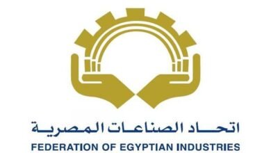 استثمارات مصرية هندية مشتركة