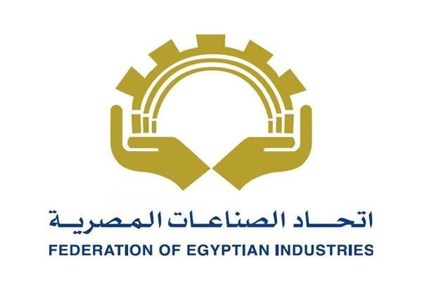 مباحثات مصرية هندية في نيودلهي لتوطين صناعات السيارات والأدوية والطاقة الخضراء 1 استثمارات مصرية هندية مشتركة