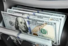استقرار الدولار في مصر
