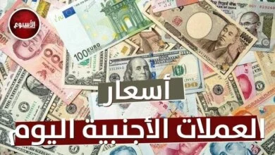 هل يكسر الجنيه المصري حاجز الـ 50 أمام الدولار؟ أسعار الصرف الرسمية تكشف الحقيقة 4 استقرار الجنيه المصري