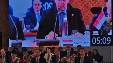 القاهرة تناور من الهند.. كيف توظف مصر منصة «البريكس» للتحرر من قيود التمويل الغربية؟ 8 مصر ومجموعة البريكس