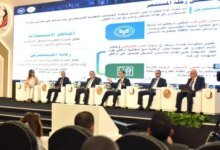 الاستثمار في مصر
