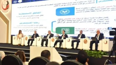 الاستثمار في مصر