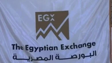 خطة حكومية لإنهاء احتكار الأسهم القيادية بالبورصة المصرية واستهداف 48 مليار جنيه يومياً 32 إصلاحات البورصة المصرية