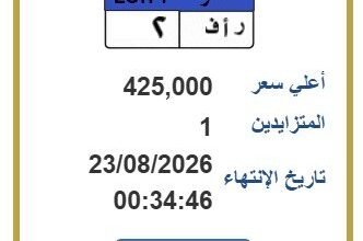 مزادات اللوحات المميزة بمصر: «ر أ ف 2» تسجل 425 ألف جنيه لصالح صندوق تحيا مصر 1 لوحة سيارة مميزة