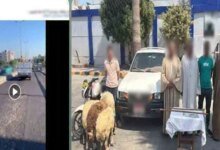 حقيقة فيديو مطاردة الإسكندرية