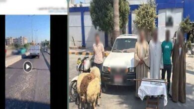 ادعاء كاذب يفجر مطاردة مثيرة بالإسكندرية والداخلية تكشف لغز الفيديو المتداول 1 حقيقة فيديو مطاردة الإسكندرية
