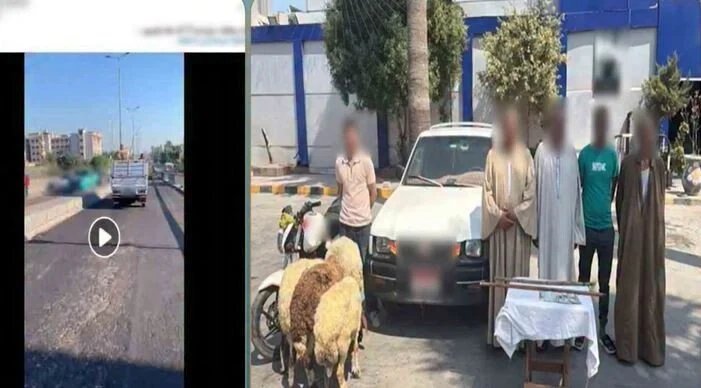 حقيقة فيديو مطاردة الإسكندرية