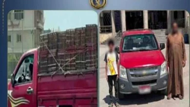 فيديو شاحنة الغربية يفجر غضباً قانونياً: أب يواجه السجن بسبب قيادة طفله سيارة نقل 22 طفل يقود شاحنة