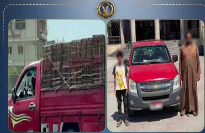 فيديو شاحنة الغربية يفجر غضباً قانونياً: أب يواجه السجن بسبب قيادة طفله سيارة نقل 1 طفل يقود شاحنة
