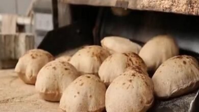 «القابضة الغذائية» توجه «مطاحن القاهرة» بتلبية احتياجات «بنده» من الخبز البلدي ومنتجات الحبة الكامل 2 تكاليف انشاء فرن عيش بلدى 1