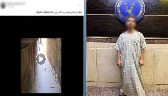 فيديو البراجيل يوقع بموظف متهم بضرب جرو صغير في الجيزة 1 ضبط متهم بضرب جرو بالبراجيل
