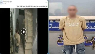 فيديو السلم يوقع بعامل توصيل تحرش بأجنبية في القاهرة 25 ضبط متحرش القاهرة