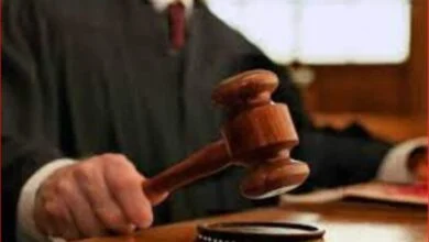 نشاط امتد لـ33 عاماً.. تفاصيل محاكمة 86 متهماً في قضية خلية النزهة أمام جنايات بدر 11 محاكمة خلية النزهة بمجمع بدر