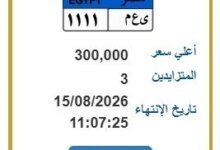مزادات اللوحات المميزة