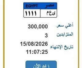 مزادات اللوحات المميزة