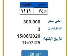 لوحة سيارة بـ 300 ألف جنيه تشعل التنافس الإلكتروني في مصر 25 مزادات اللوحات المميزة