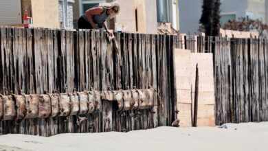 Long Beach Braces for Hurricane Polo Swells