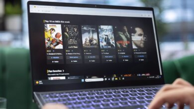 Streaming’s $151 Monthly Cost