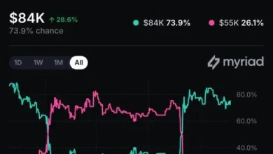 Crypto Gang Network Arrests