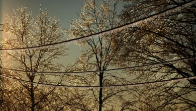 Data Centers and the Power Grid