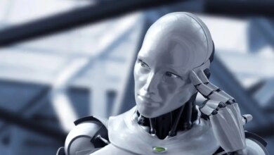 AI Control Dispute