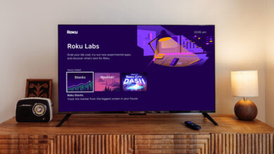 Roku Labs and LT OS
