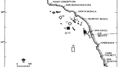 DDT Barrel Cleanup Legislation