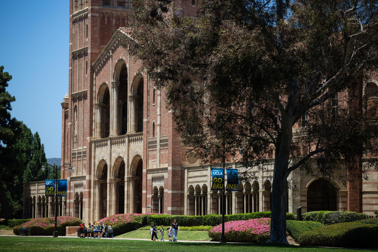 UC Moves to Dismiss DOJ Lawsuit Over UCLA Grants