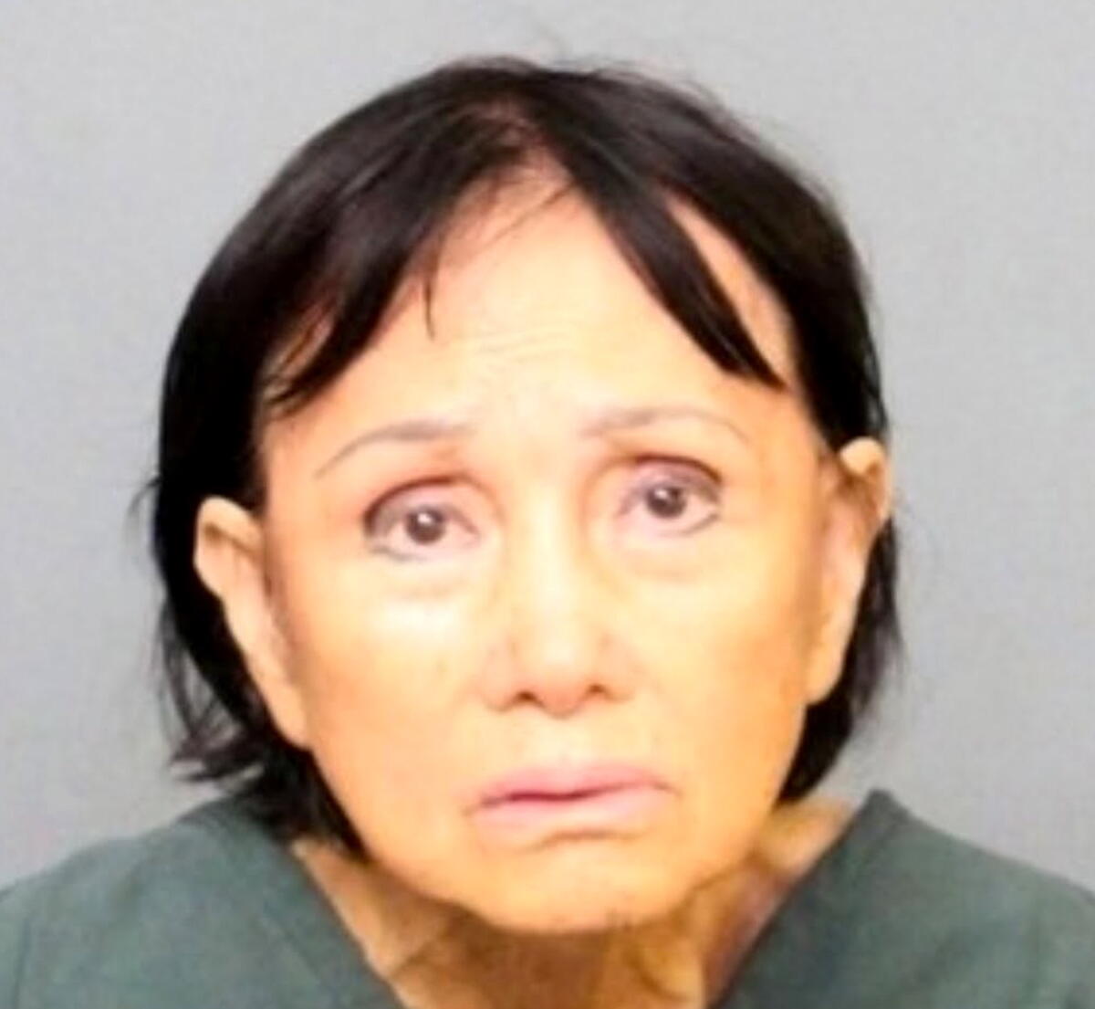 Santa Ana Woman Arrested in Puppy Killing