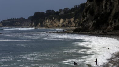Mako Shark Attacks Kayaker Near Malibu