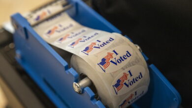 Naturalized Voters and the 2026 Midterms