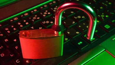 MonsterCloud CEO Indicted for Ransomware Fraud