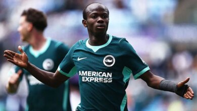 Brighton's Sustainable Premier League Success Model