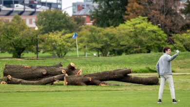 East Potomac Golf Course Renovation