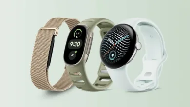 Fitbit Edge Mid-Tier Wearable Launch