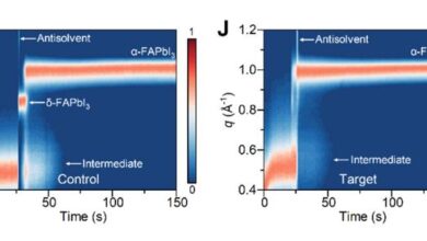 Prussian Blue Perovskite Solar Cell Breakthrough