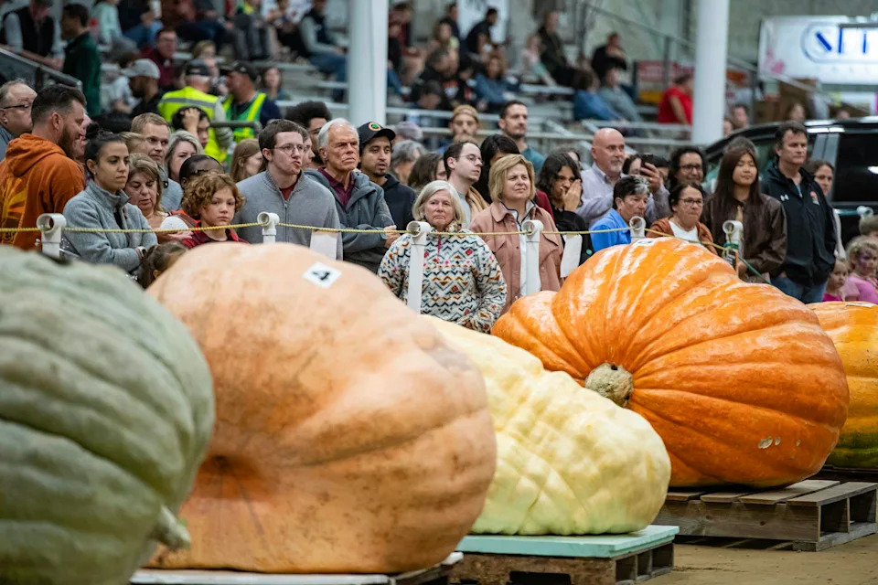 U.S. Pumpkin Harvest and Agritourism Boom