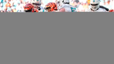 Bengals Defeat Dolphins 31-24