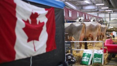 USMCA Uncertainty Freezes Cross-Border Investment
