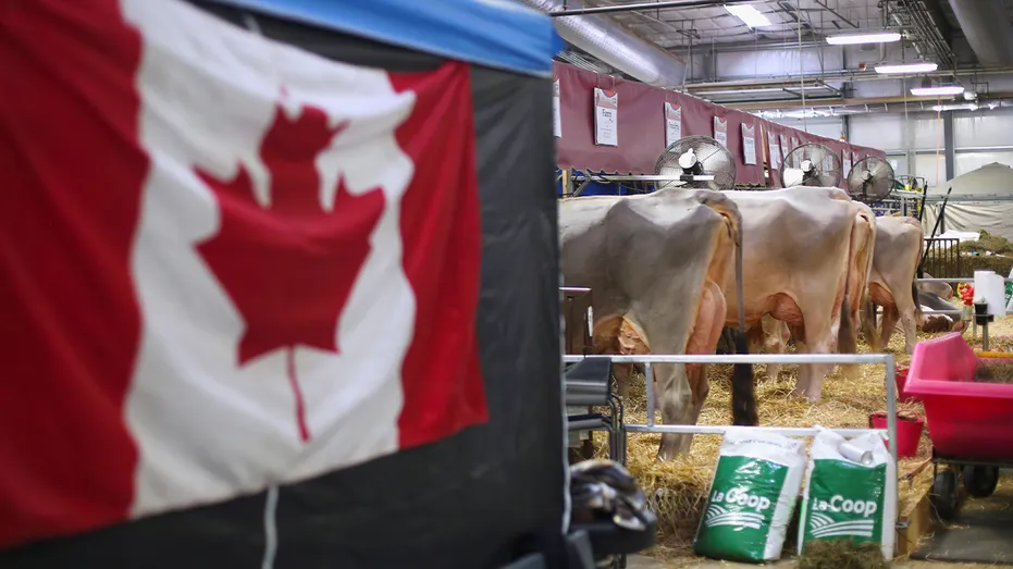 USMCA Uncertainty Freezes Cross-Border Investment