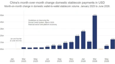 China P2P Stablecoin Surge