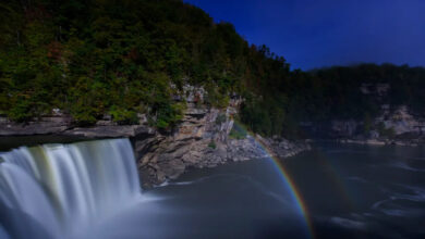 Rare Natural Phenomena in U.S. State Parks