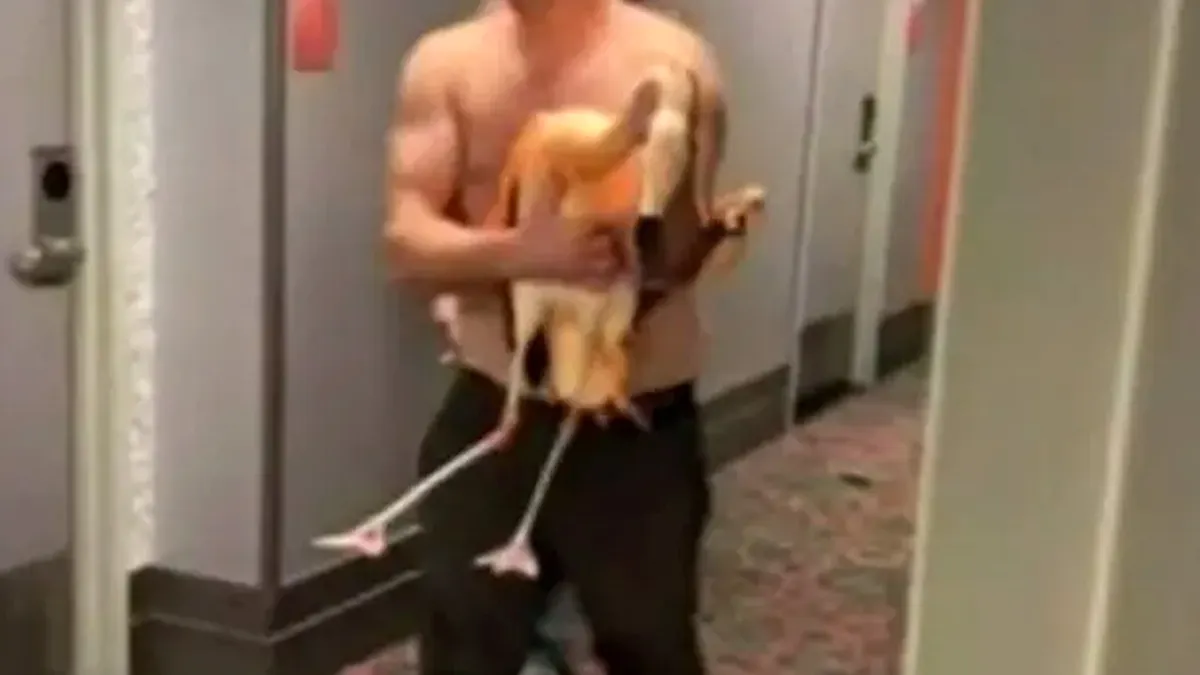 Suspect with the allegedly stolen flamingo.