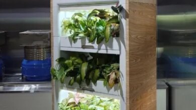 Greenairy Plant Towers at TechCrunch Disrupt